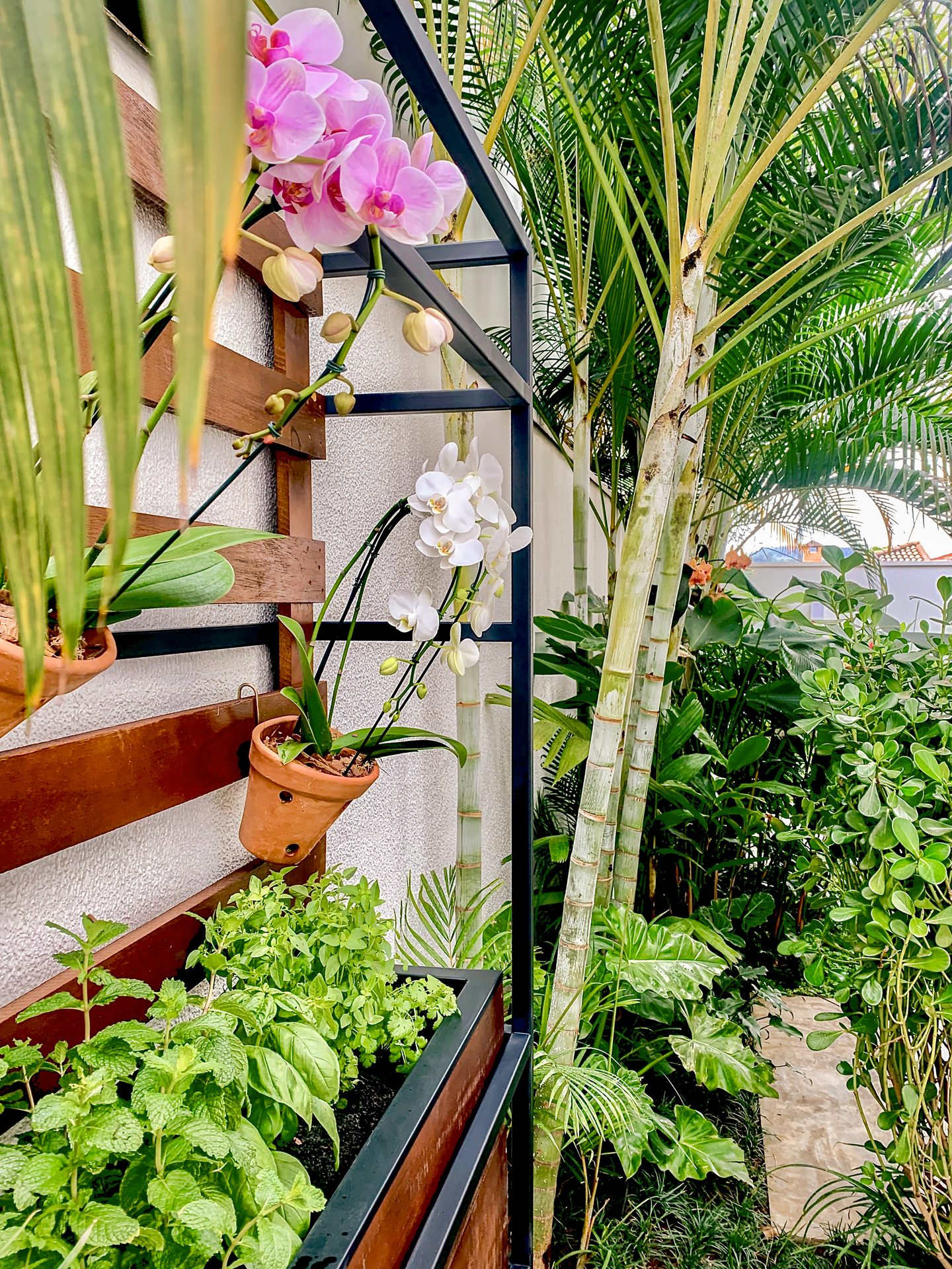 Jardim Mais Tropical