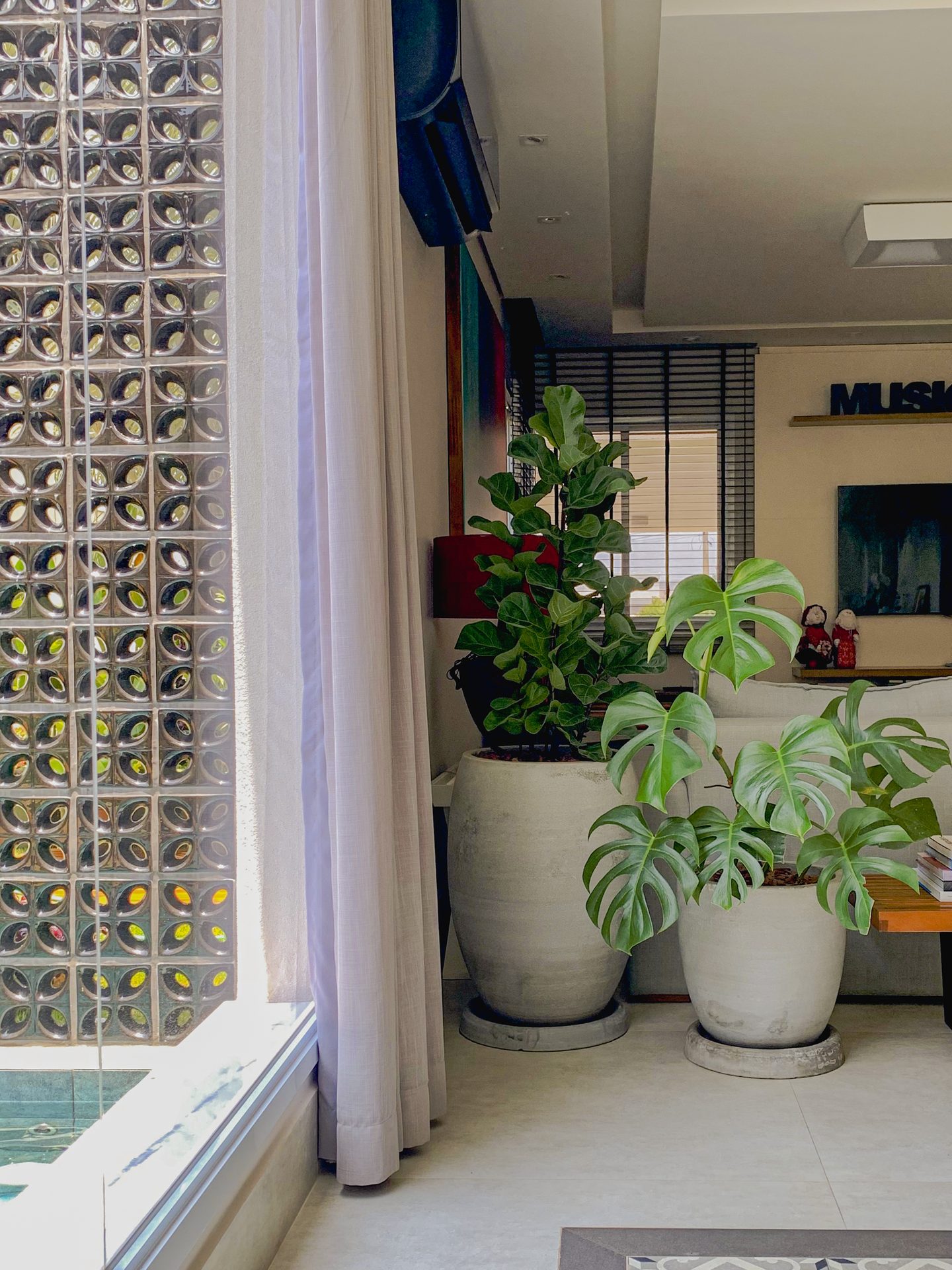 Jardim Mais Tropical