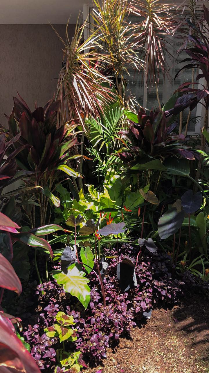 Jardim Mais Tropical