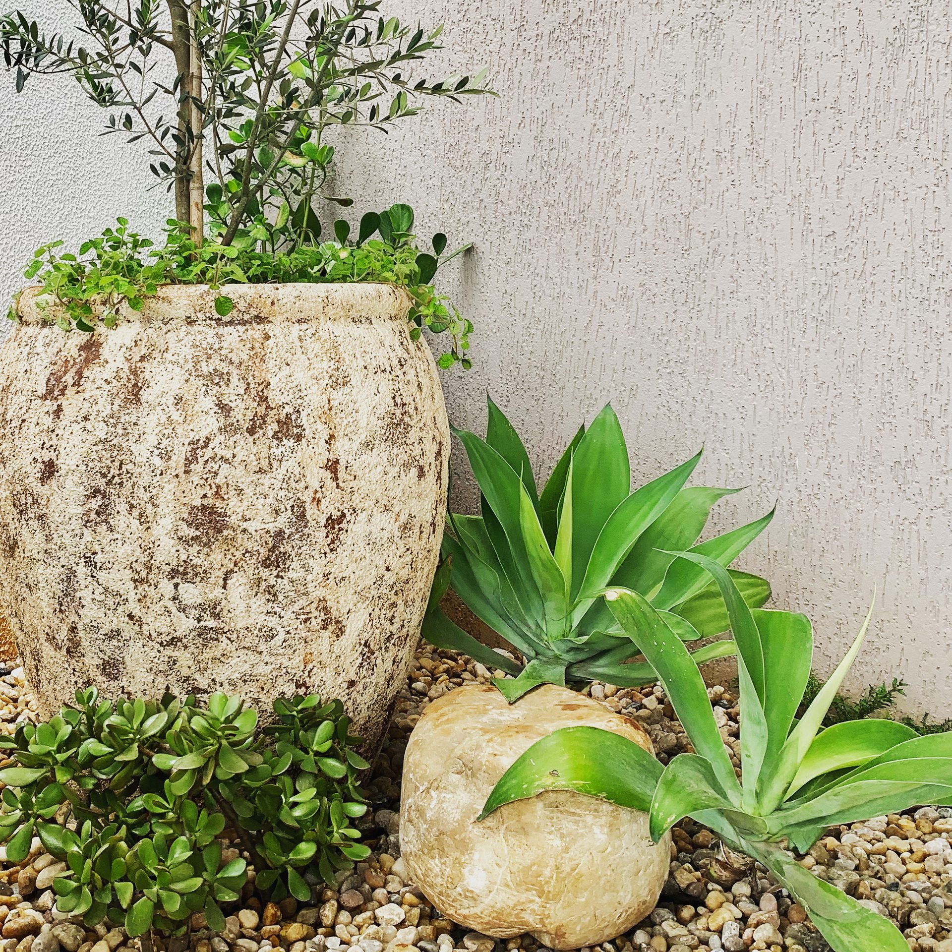 Jardim Mais Tropical