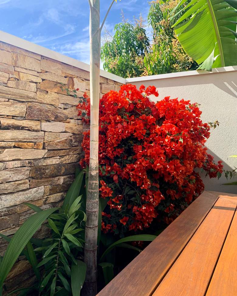 Jardim Abraço