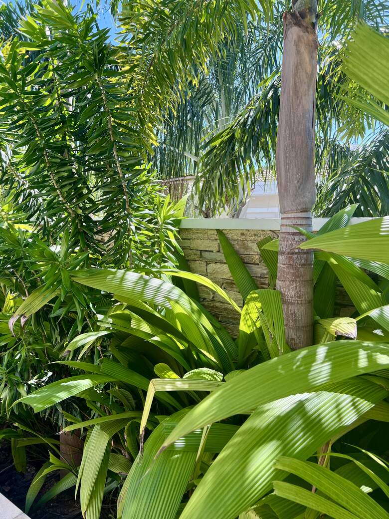 Jardim Abraço