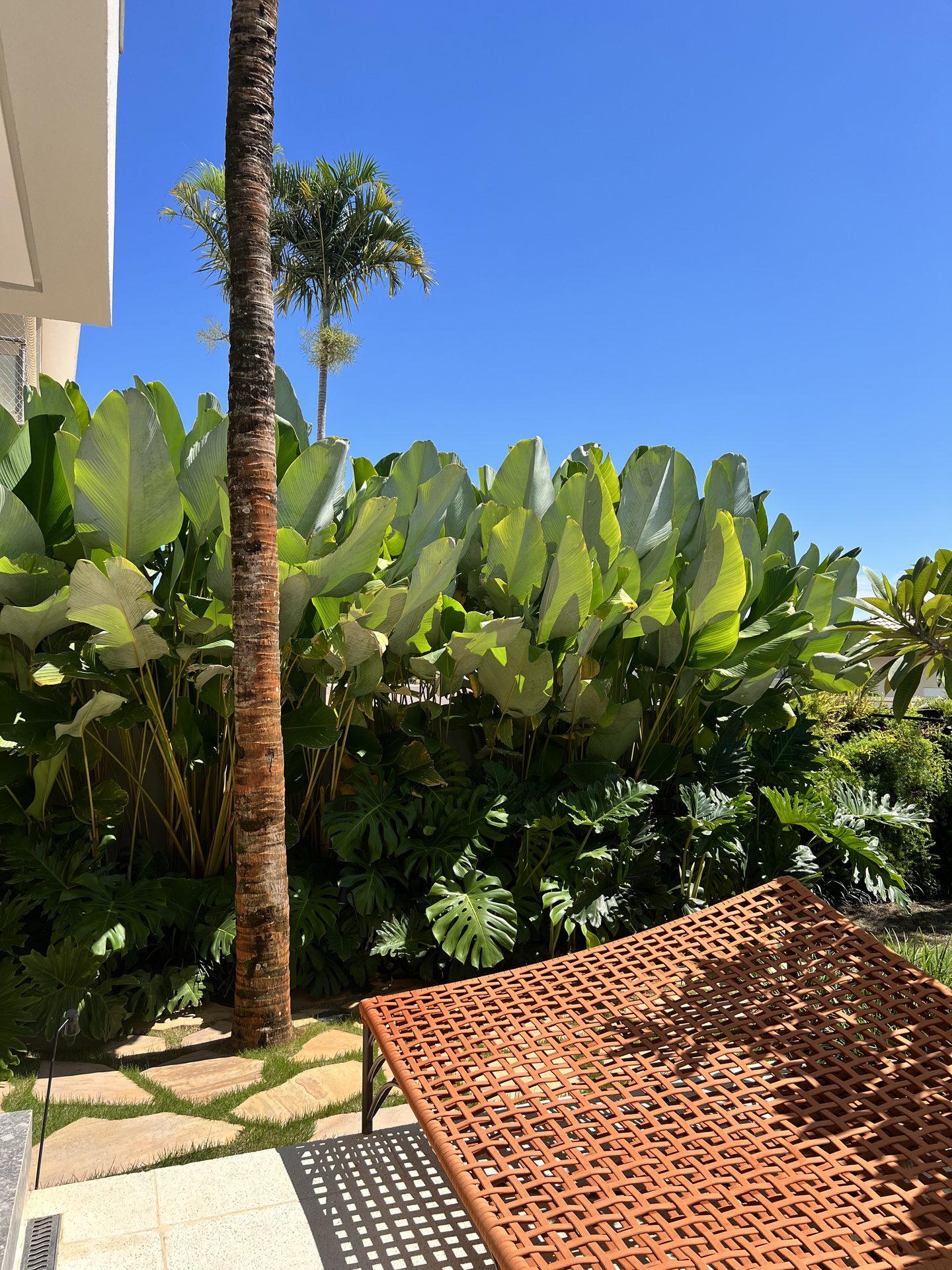 Jardim Abraço