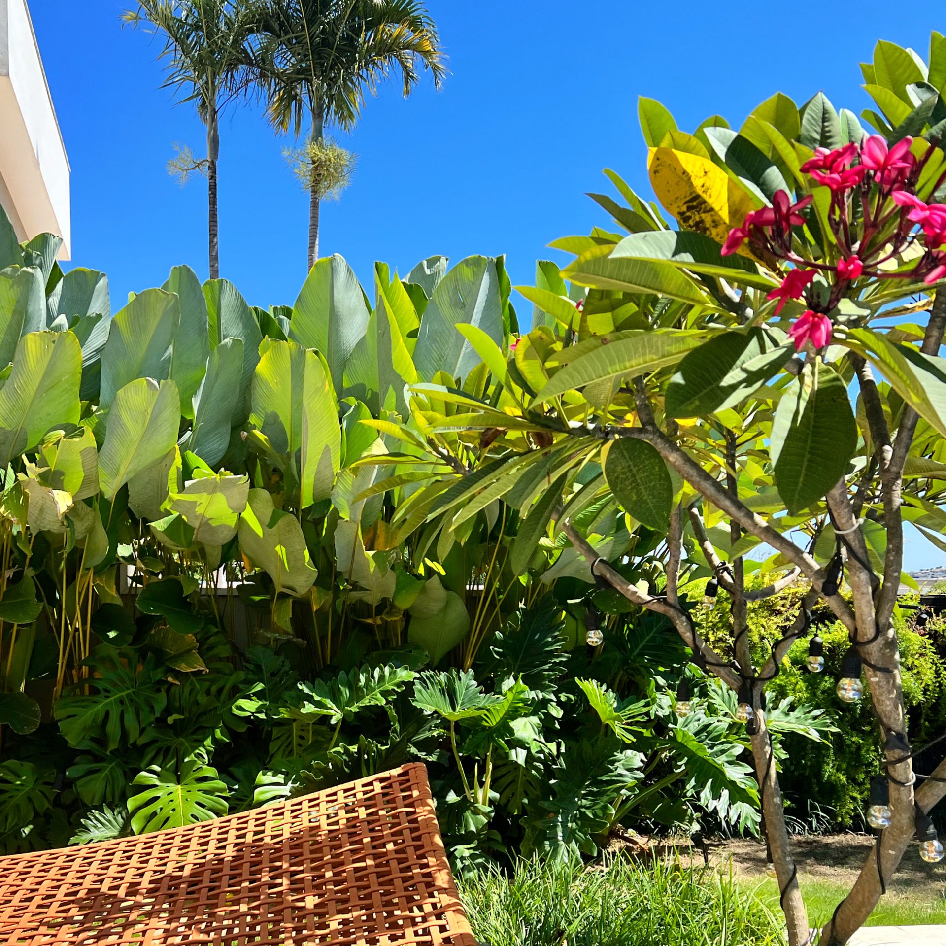 Jardim Abraço