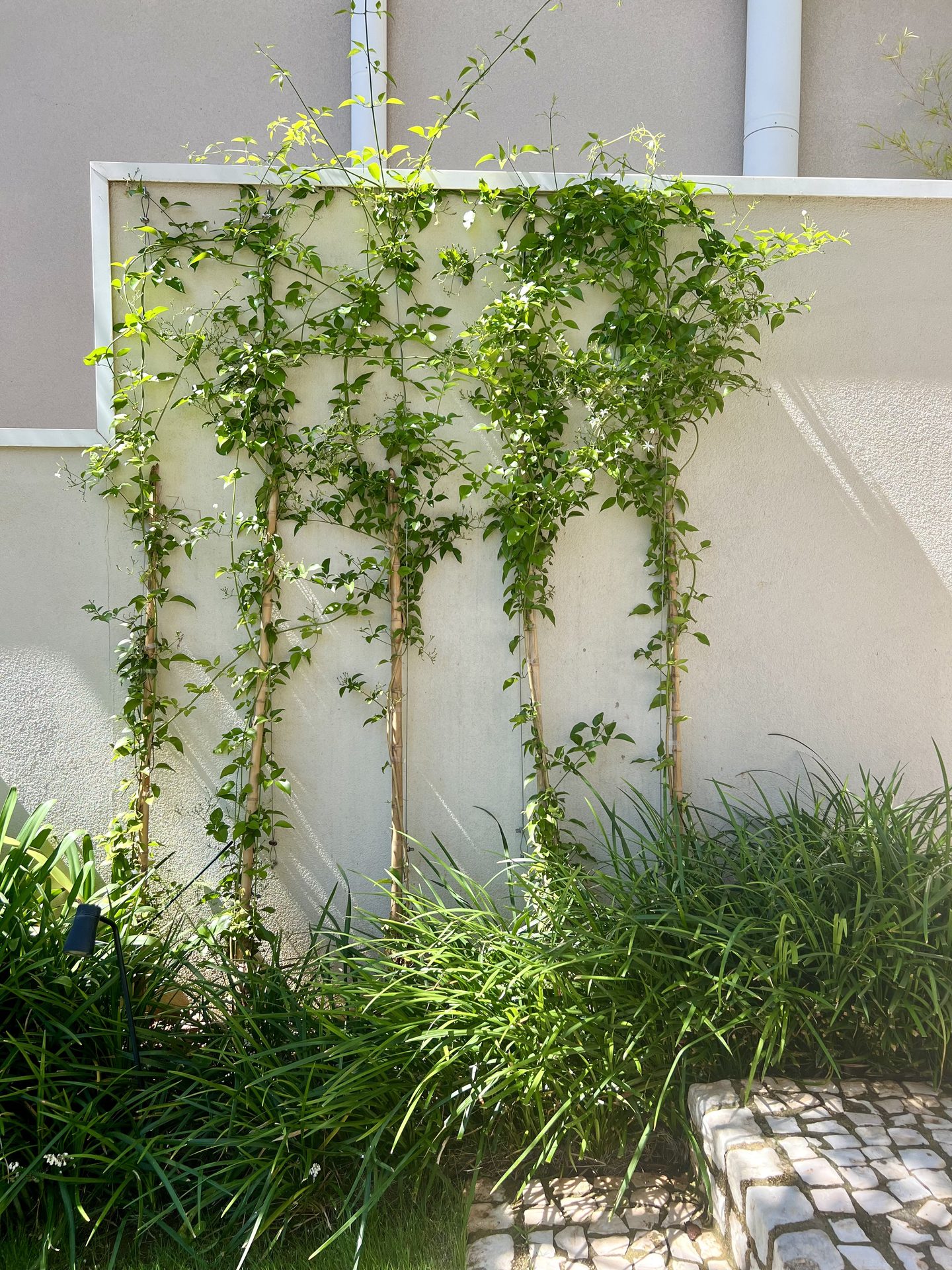 Jardim Abraço