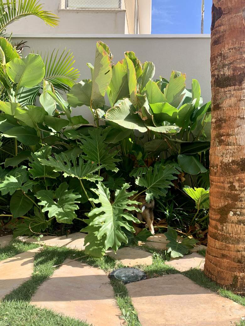 Jardim Abraço