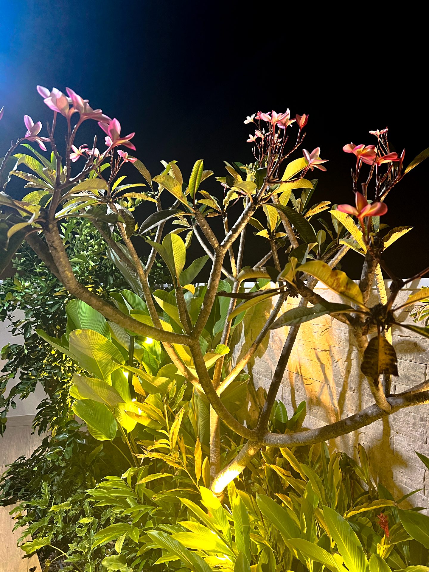 Jardim para Estar J&M
