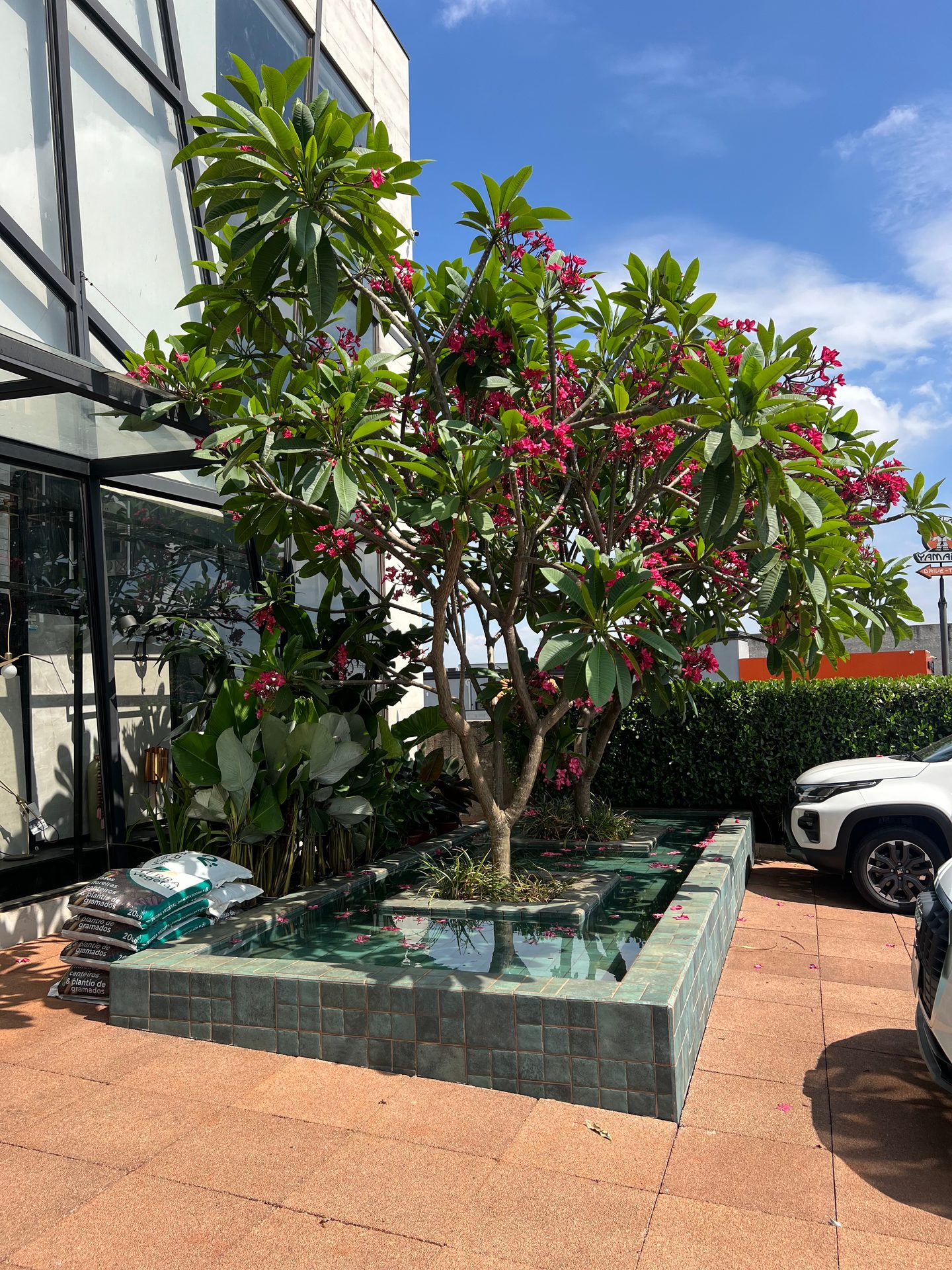 Jardim Kaza Mais