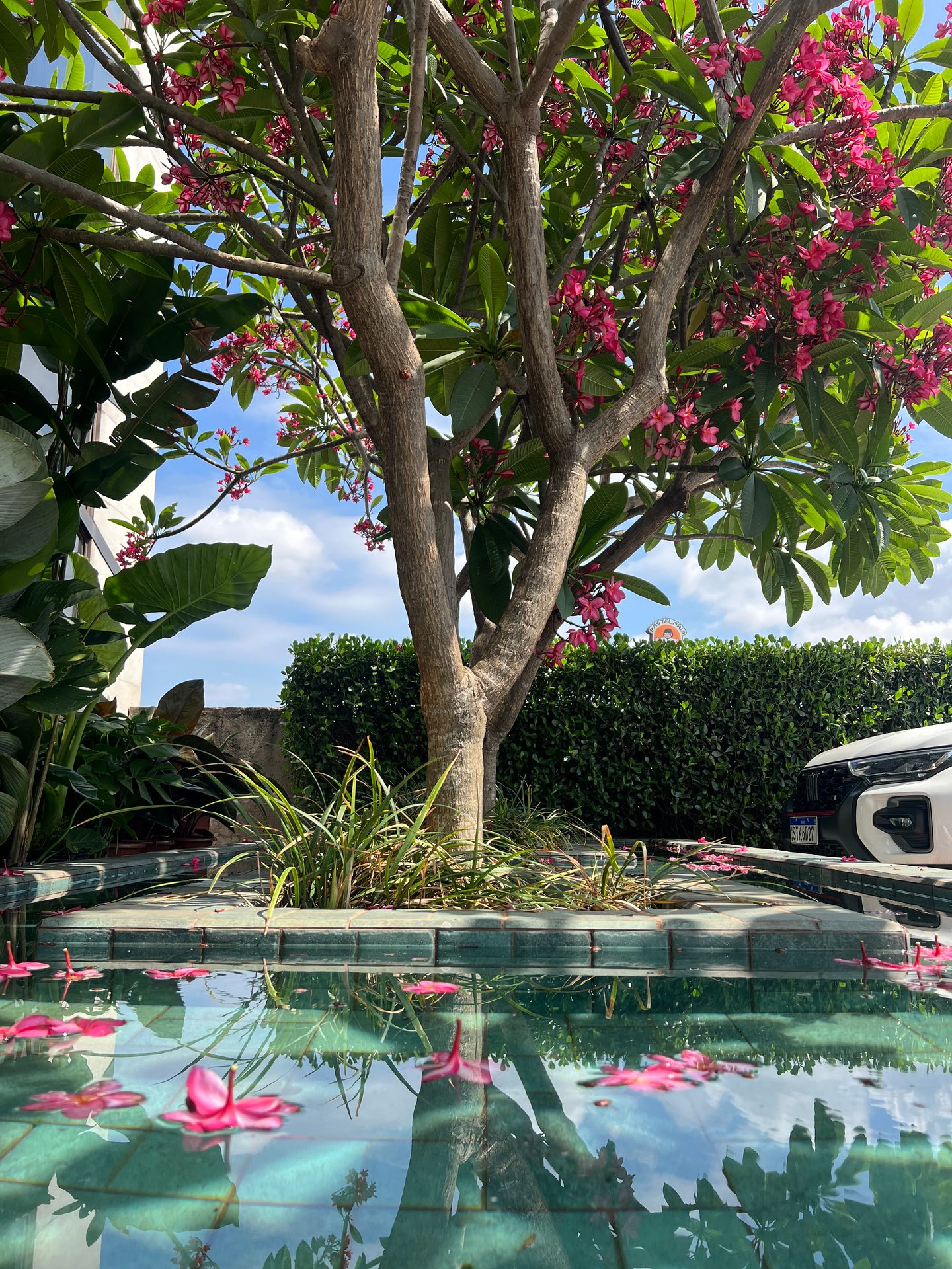 Jardim Kaza Mais