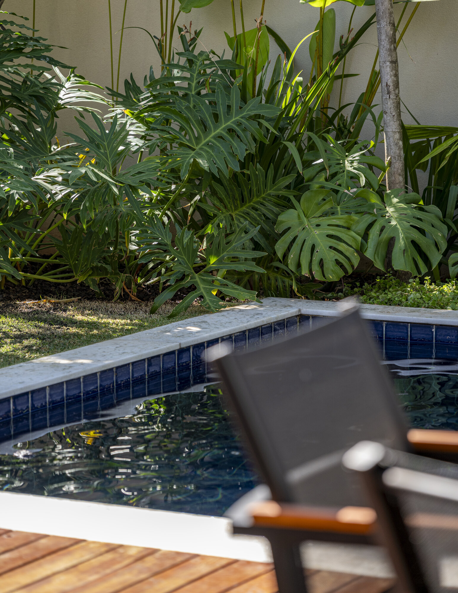 Jardim Entre Linhas e Folhagens — MP
