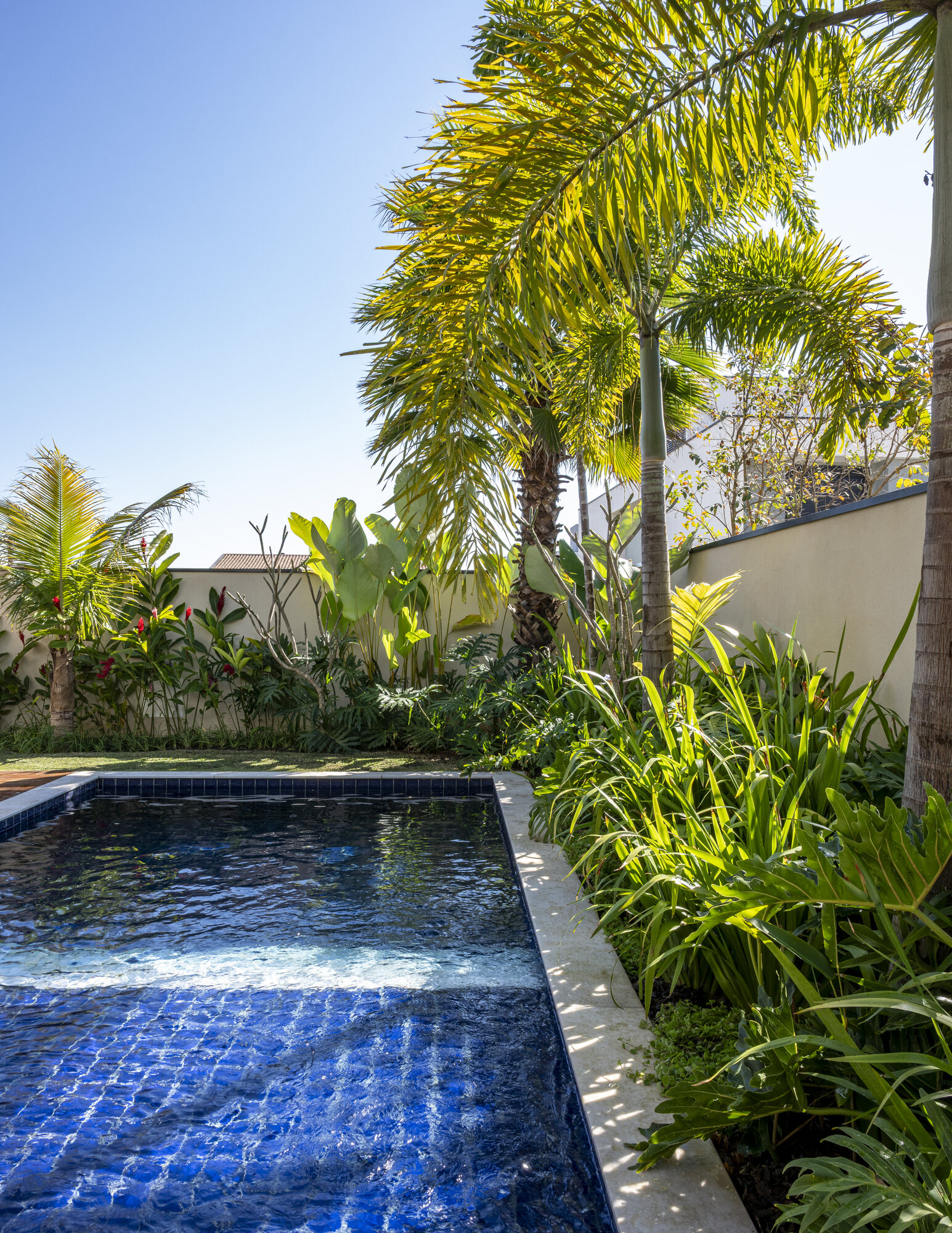 Jardim Entre Linhas e Folhagens — MP