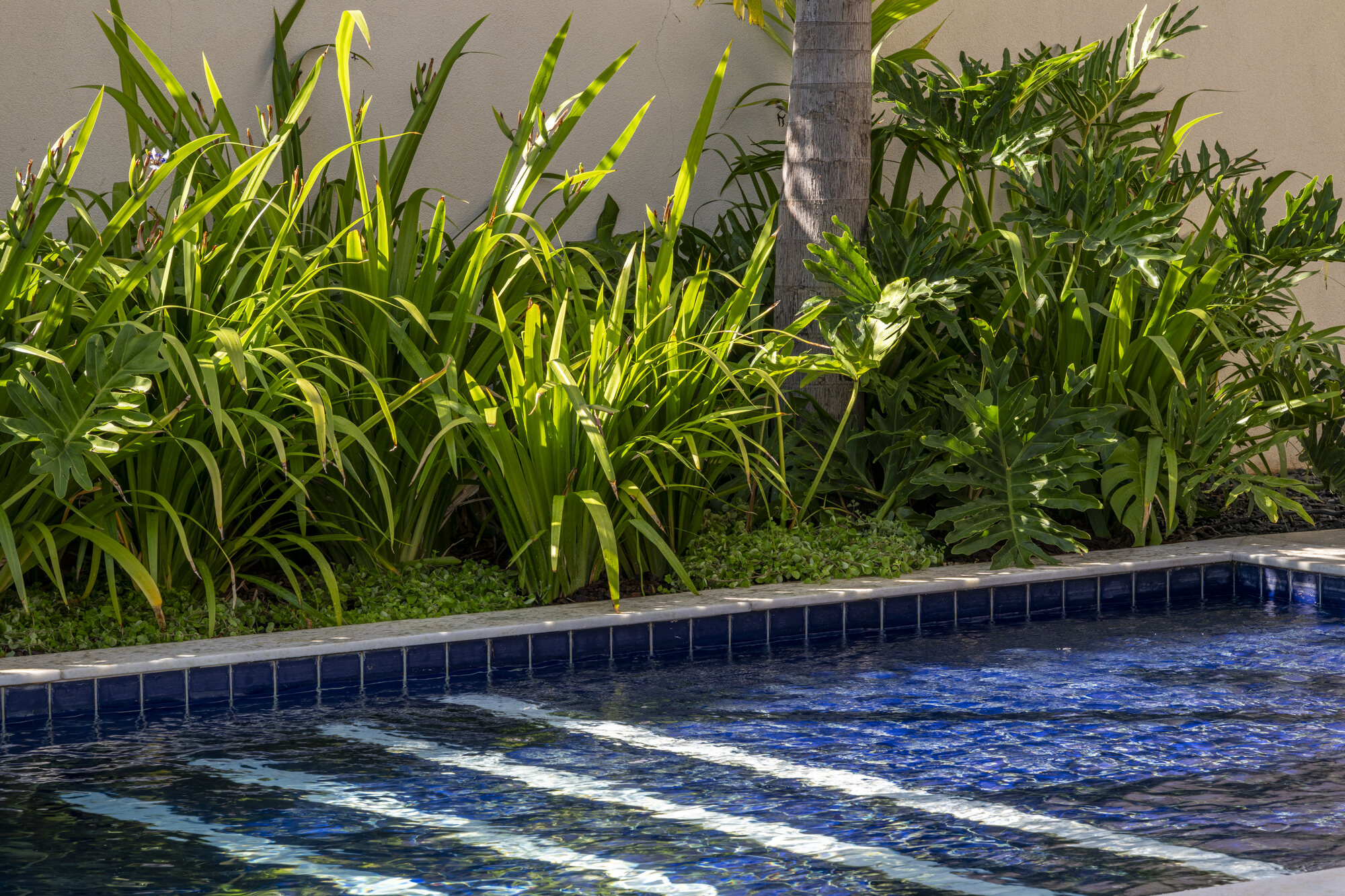 Jardim Entre Linhas e Folhagens — MP