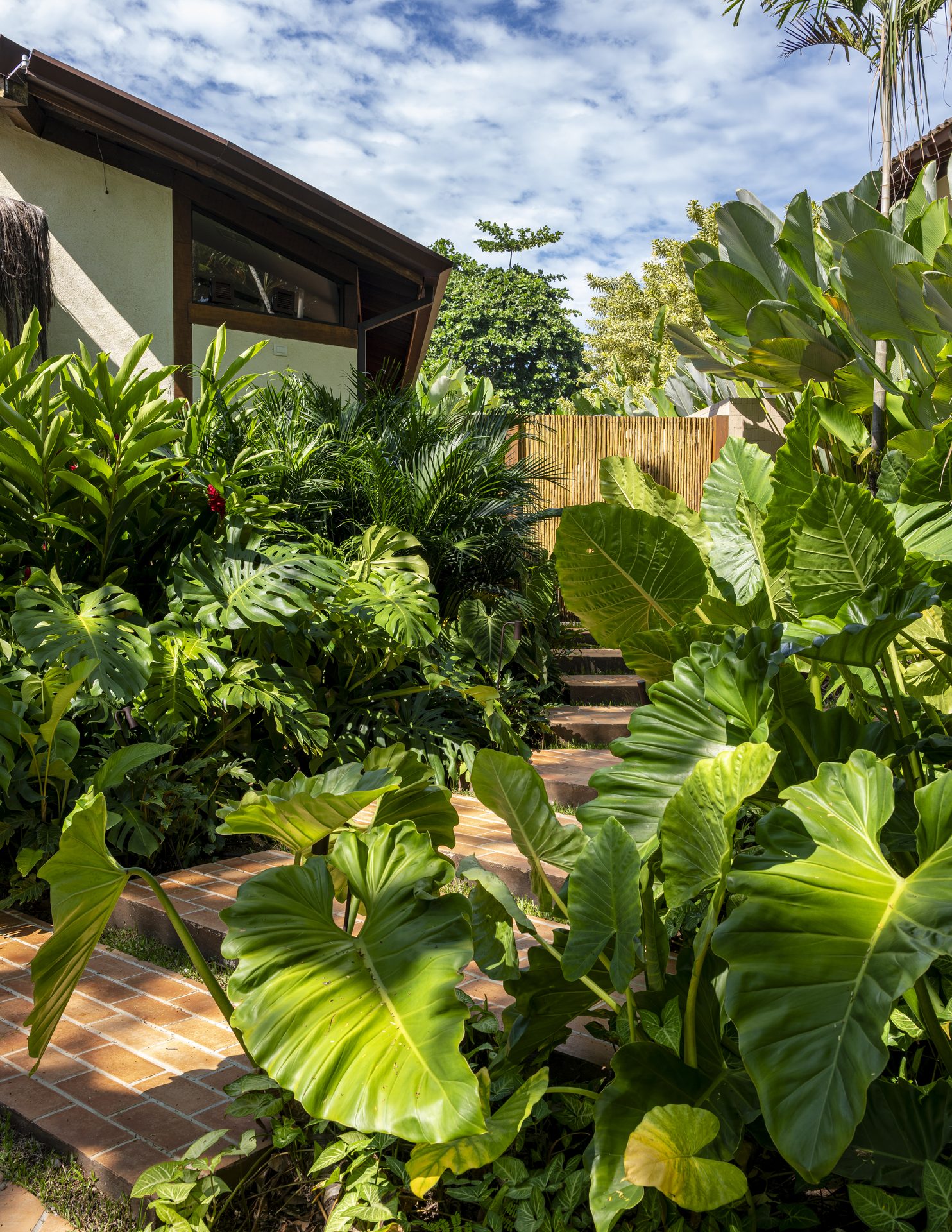 Jardim Casa Sapê
