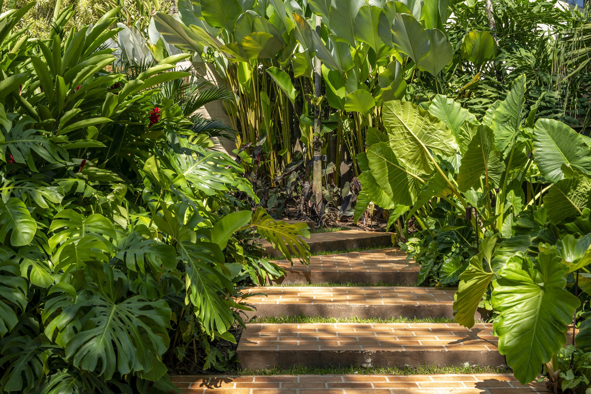 Jardim Casa Sapê
