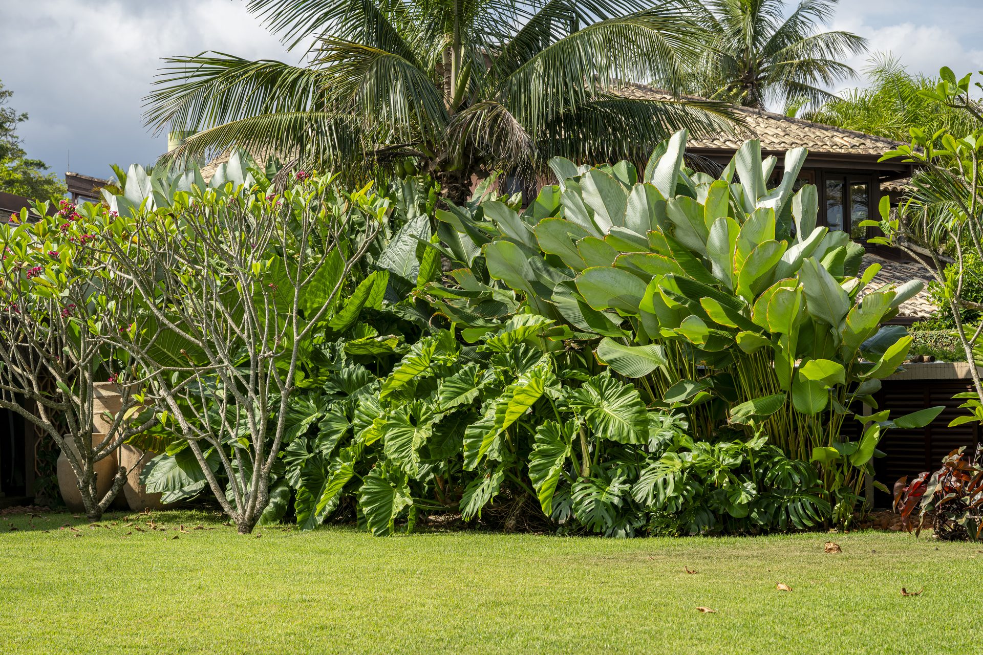 Jardim Casa Sapê